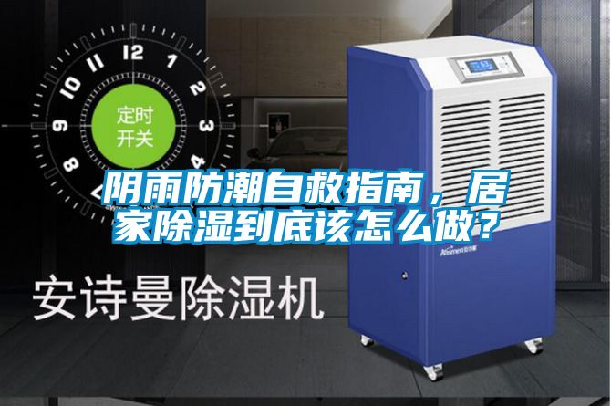 陰雨防潮自救指南，居家除濕到底該怎么做？