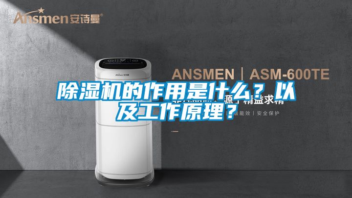 除濕機(jī)的作用是什么？以及工作原理？