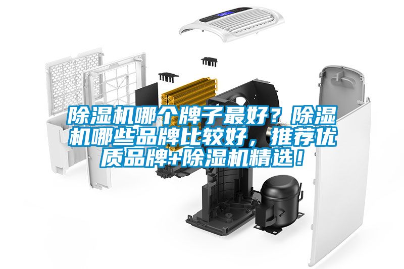 除濕機哪個牌子最好？除濕機哪些品牌比較好，推薦優(yōu)質(zhì)品牌+除濕機精選！