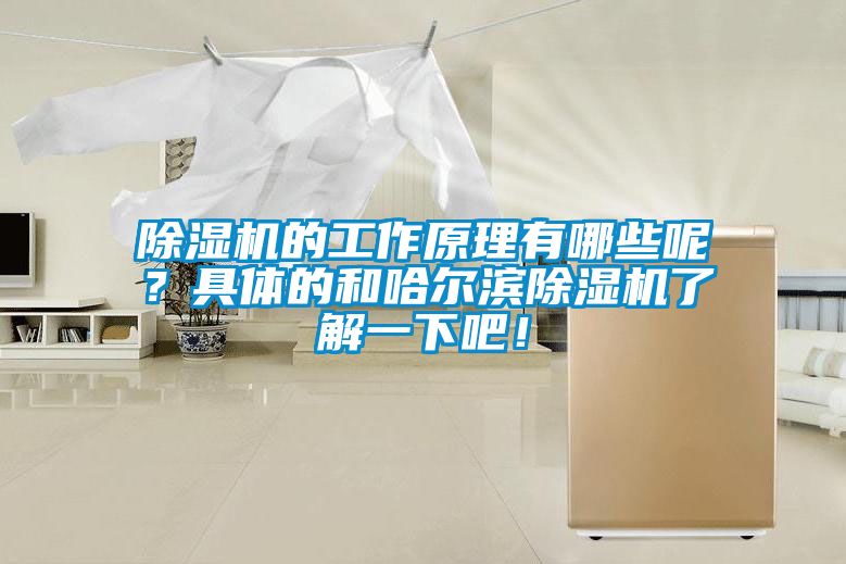 除濕機的工作原理有哪些呢？具體的和哈爾濱除濕機了解一下吧！