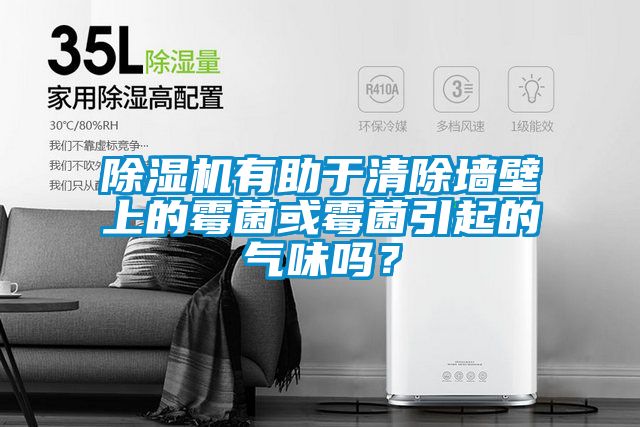 除濕機有助于清除墻壁上的霉菌或霉菌引起的氣味嗎？
