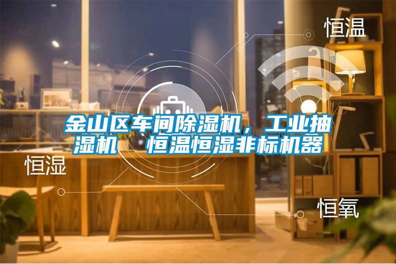 金山區(qū)車間除濕機(jī)，工業(yè)抽濕機(jī)  恒溫恒濕非標(biāo)機(jī)器