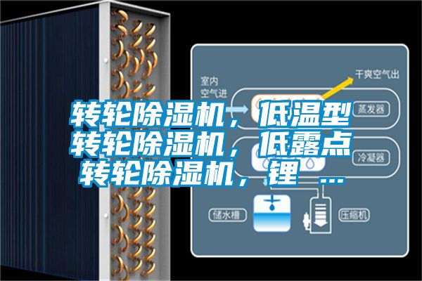 轉(zhuǎn)輪除濕機，低溫型轉(zhuǎn)輪除濕機，低露點轉(zhuǎn)輪除濕機，鋰 ...