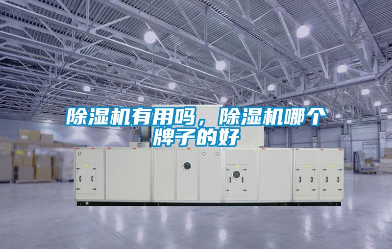除濕機(jī)有用嗎，除濕機(jī)哪個(gè)牌子的好