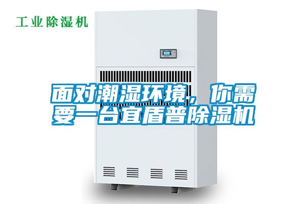 面對(duì)潮濕環(huán)境，你需要一臺(tái)宜盾普除濕機(jī)