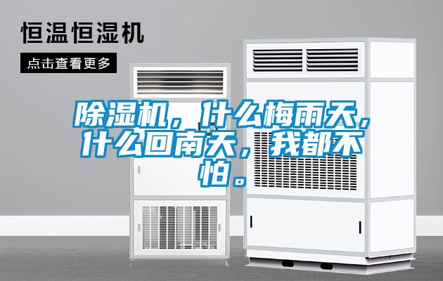 除濕機(jī)，什么梅雨天，什么回南天，我都不怕。