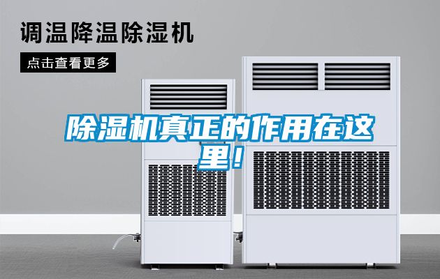 除濕機(jī)真正的作用在這里！