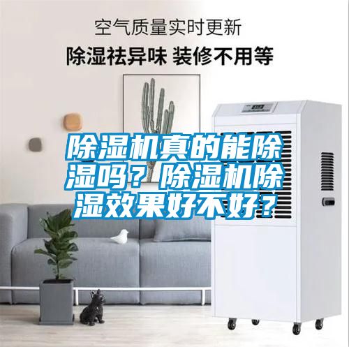 除濕機真的能除濕嗎？除濕機除濕效果好不好？