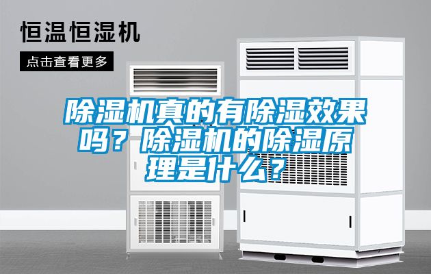 除濕機(jī)真的有除濕效果嗎？除濕機(jī)的除濕原理是什么？