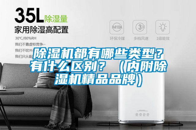 除濕機(jī)都有哪些類型？有什么區(qū)別？（內(nèi)附除濕機(jī)精品品牌）