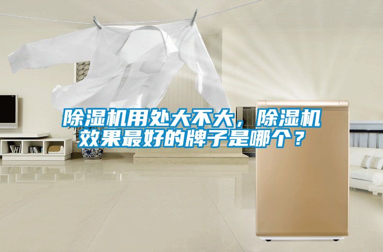 除濕機(jī)用處大不大，除濕機(jī)效果最好的牌子是哪個(gè)？