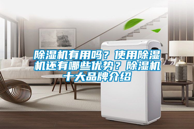 除濕機有用嗎？使用除濕機還有哪些優(yōu)勢？除濕機十大品牌介紹