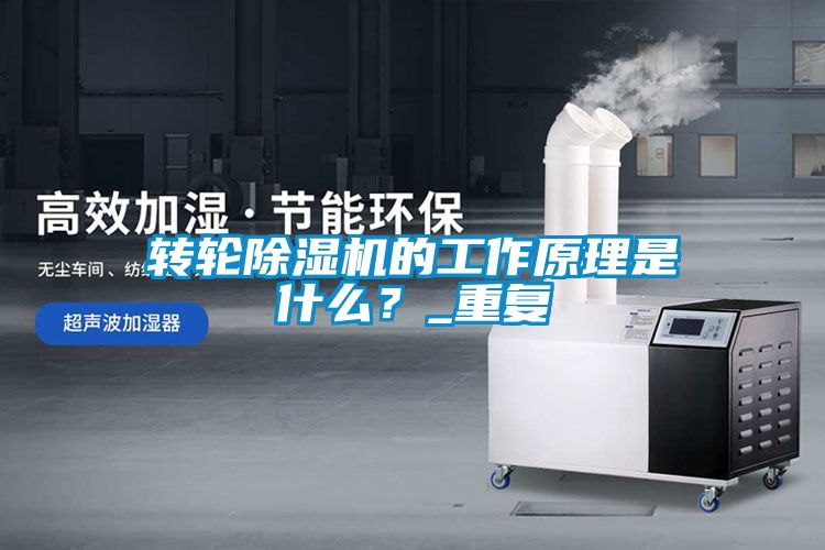 轉(zhuǎn)輪除濕機的工作原理是什么？_重復