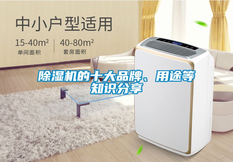 除濕機(jī)的十大品牌、用途等知識(shí)分享