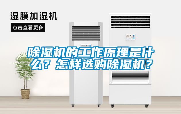 除濕機(jī)的工作原理是什么？怎樣選購除濕機(jī)？