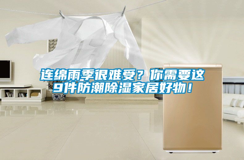 連綿雨季很難受？你需要這9件防潮除濕家居好物！