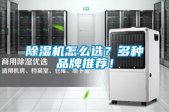 除濕機(jī)怎么選？多種品牌推薦！