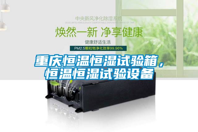 重慶恒溫恒濕試驗(yàn)箱，恒溫恒濕試驗(yàn)設(shè)備