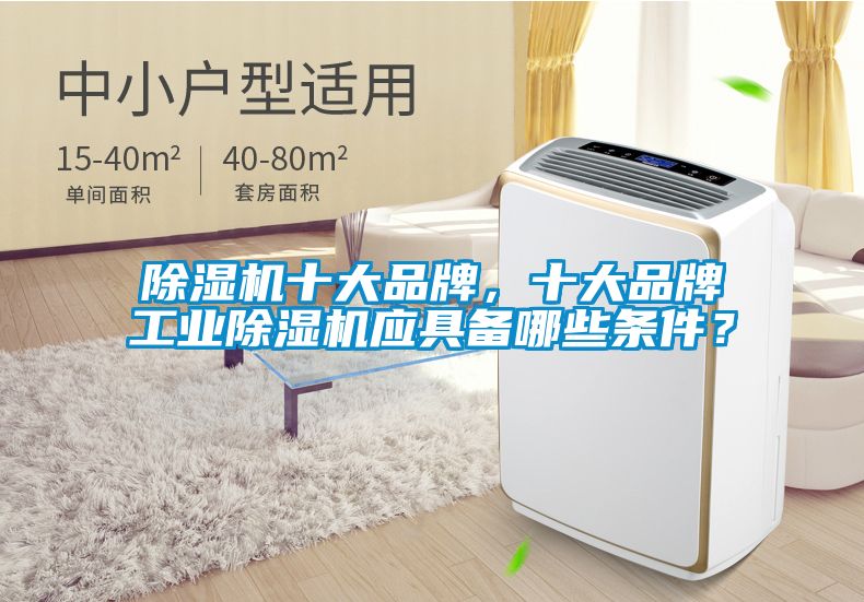 除濕機(jī)十大品牌，十大品牌工業(yè)除濕機(jī)應(yīng)具備哪些條件？