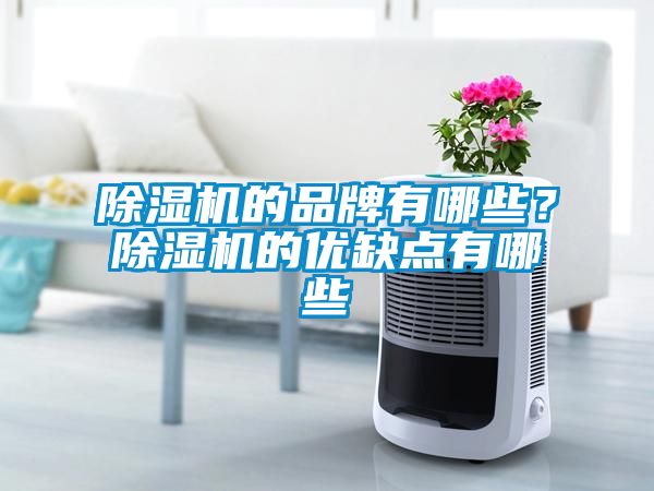 除濕機(jī)的品牌有哪些？除濕機(jī)的優(yōu)缺點有哪些