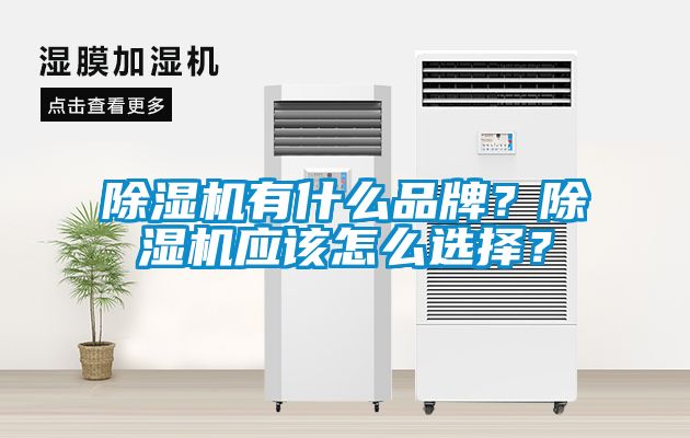 除濕機(jī)有什么品牌？除濕機(jī)應(yīng)該怎么選擇？