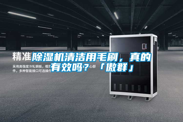除濕機(jī)清潔用毛刷，真的有效嗎？「傲群」