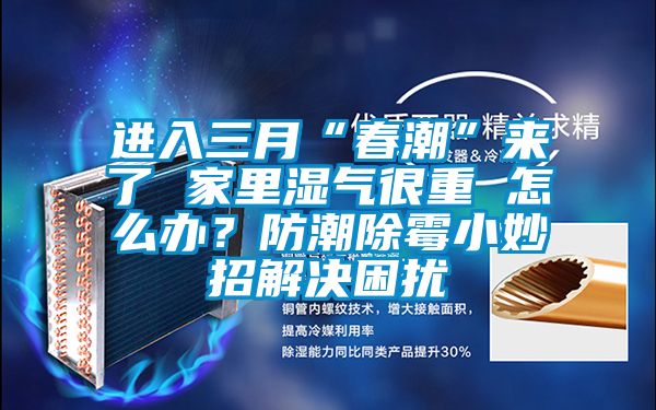 進(jìn)入三月“春潮”來了 家里濕氣很重 怎么辦？防潮除霉小妙招解決困擾
