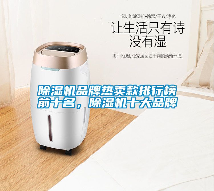 除濕機品牌熱賣款排行榜前十名，除濕機十大品牌