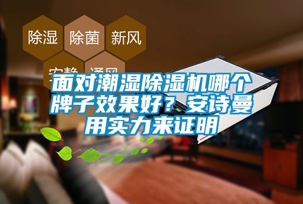 面對(duì)潮濕除濕機(jī)哪個(gè)牌子效果好？安詩(shī)曼用實(shí)力來(lái)證明