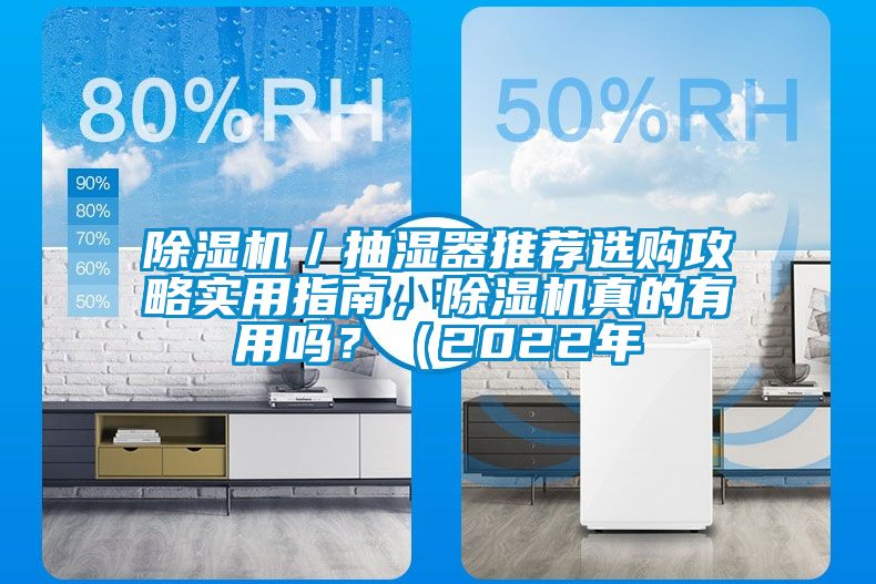 除濕機／抽濕器推薦選購攻略實用指南，除濕機真的有用嗎？（2022年