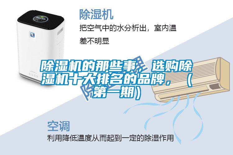 除濕機(jī)的那些事，選購(gòu)除濕機(jī)十大排名的品牌，（第一期）