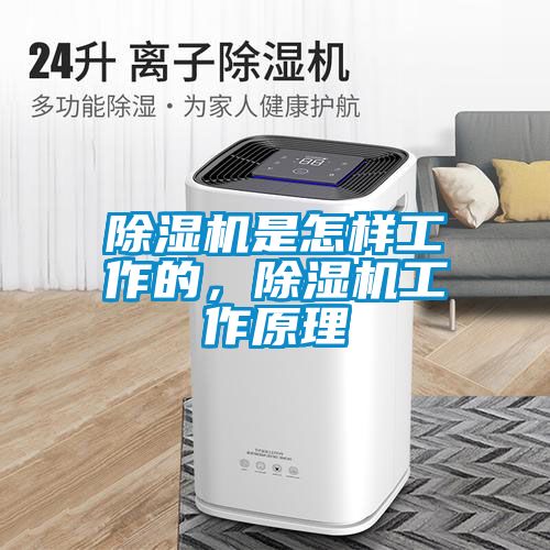 除濕機(jī)是怎樣工作的，除濕機(jī)工作原理