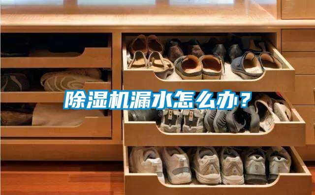 除濕機(jī)漏水怎么辦？