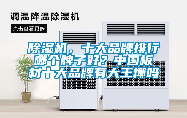 除濕機(jī)，十大品牌排行哪個(gè)牌子好？中國(guó)板材十大品牌有大王椰嗎