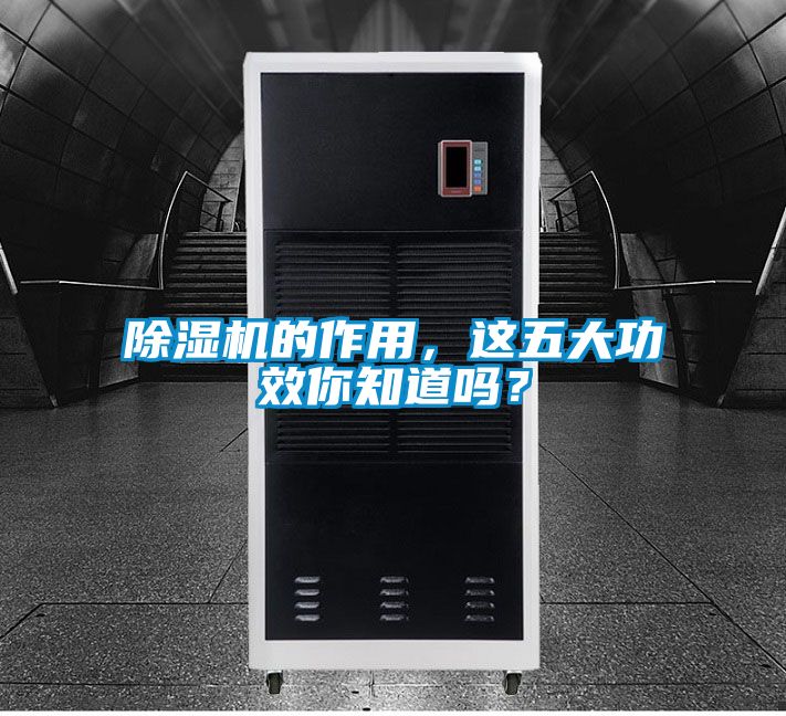 除濕機(jī)的作用，這五大功效你知道嗎？
