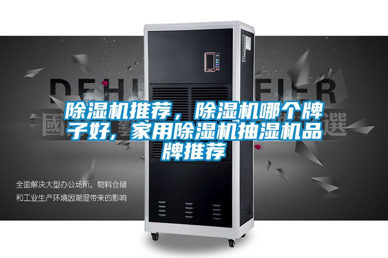 除濕機(jī)推薦，除濕機(jī)哪個(gè)牌子好, 家用除濕機(jī)抽濕機(jī)品牌推薦