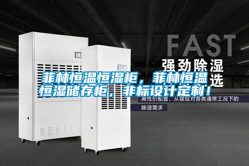 菲林恒溫恒濕柜，菲林恒溫恒濕儲存柜，非標設計定制！