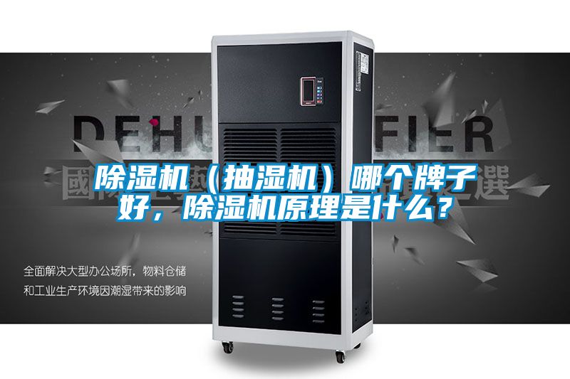 除濕機(jī)（抽濕機(jī)）哪個(gè)牌子好，除濕機(jī)原理是什么？
