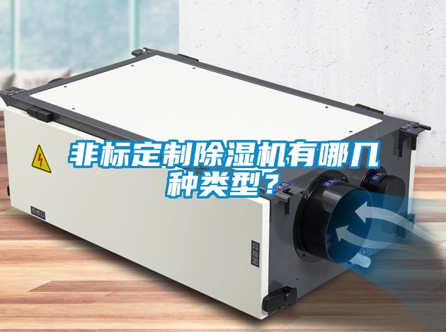 非標(biāo)定制除濕機(jī)有哪幾種類型？