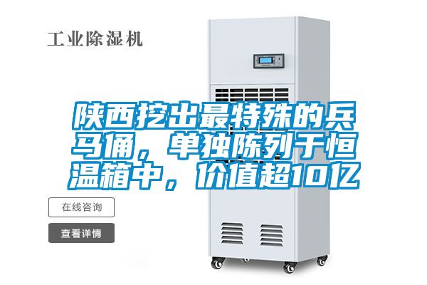 陜西挖出最特殊的兵馬俑，單獨(dú)陳列于恒溫箱中，價(jià)值超10億