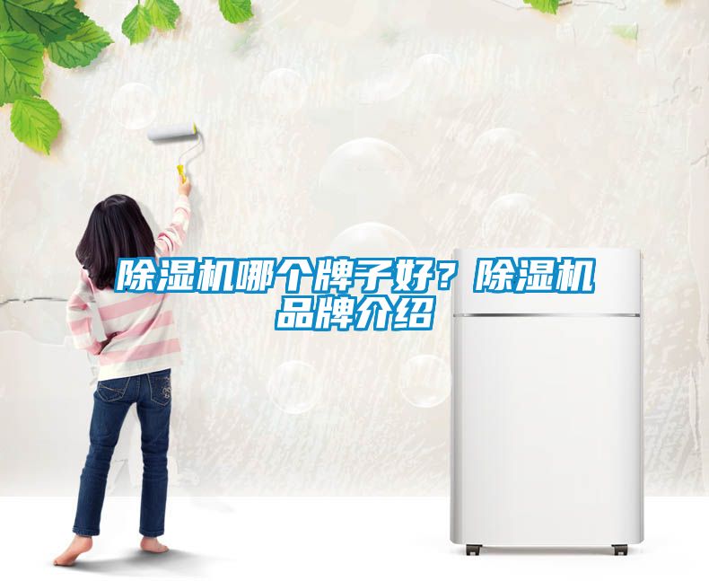 除濕機哪個牌子好？除濕機品牌介紹
