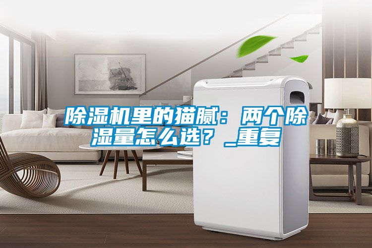 除濕機(jī)里的貓膩：兩個(gè)除濕量怎么選？_重復(fù)