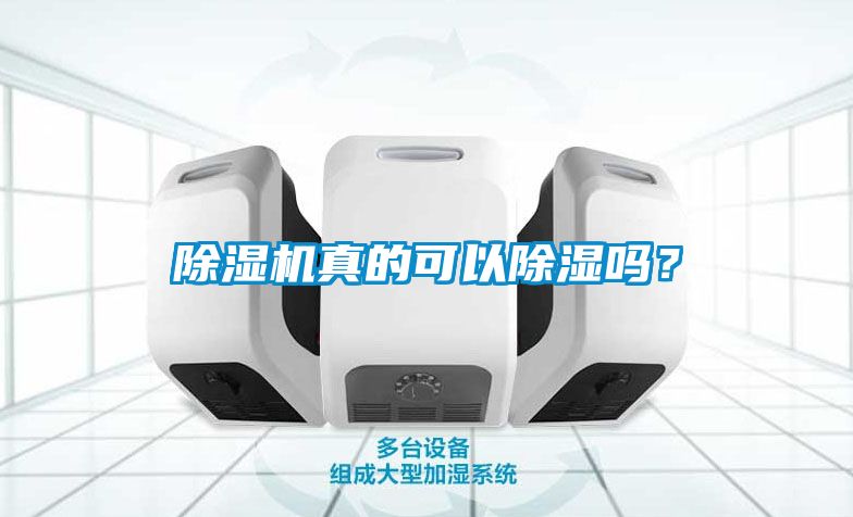 除濕機(jī)真的可以除濕嗎？