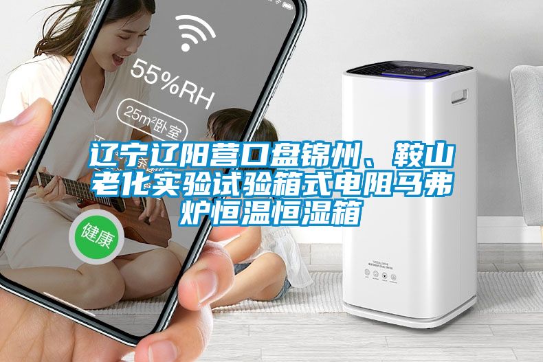 遼寧遼陽營口盤錦州、鞍山老化實驗試驗箱式電阻馬弗爐恒溫恒濕箱