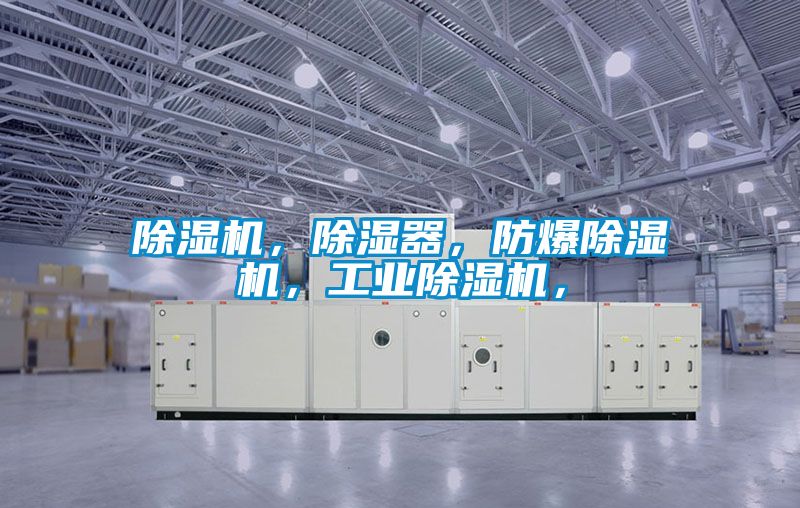 除濕機，除濕器，防爆除濕機，工業(yè)除濕機，