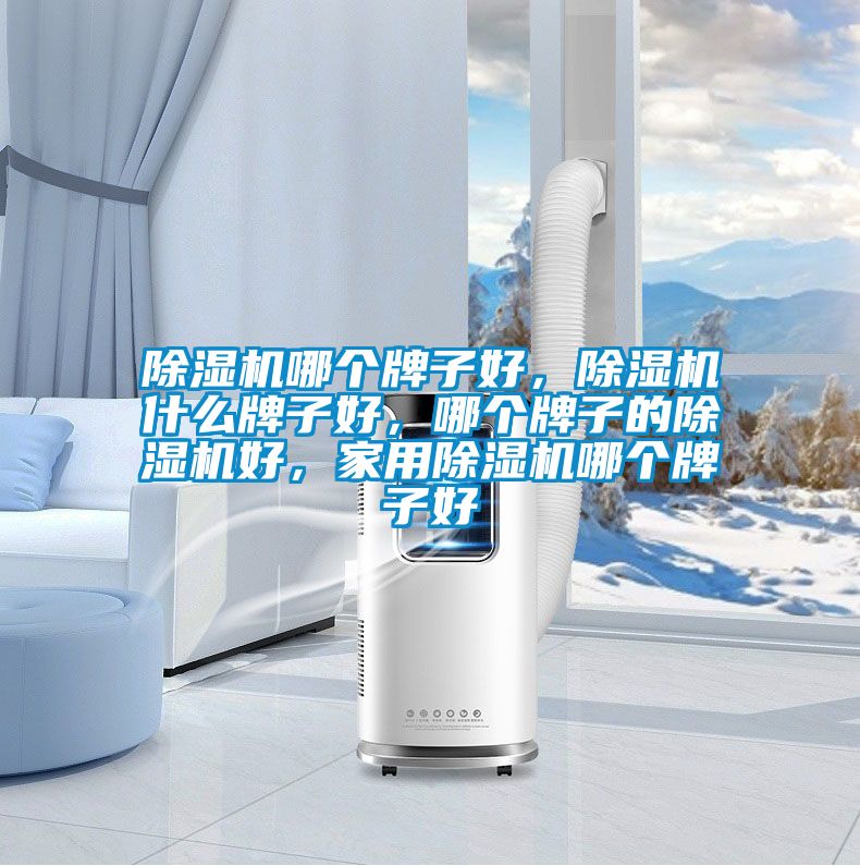 除濕機(jī)哪個牌子好，除濕機(jī)什么牌子好，哪個牌子的除濕機(jī)好，家用除濕機(jī)哪個牌子好