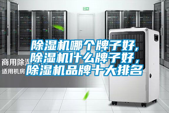 除濕機(jī)哪個(gè)牌子好,除濕機(jī)什么牌子好，除濕機(jī)品牌十大排名