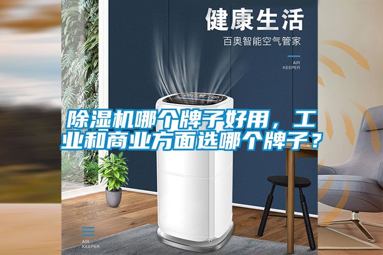 除濕機(jī)哪個牌子好用，工業(yè)和商業(yè)方面選哪個牌子？