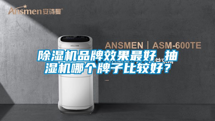 除濕機(jī)品牌效果最好 抽濕機(jī)哪個牌子比較好？
