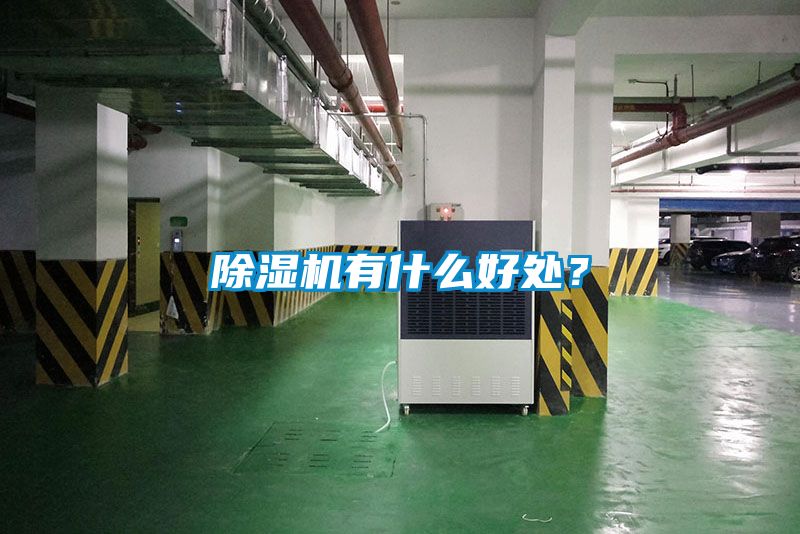 除濕機(jī)有什么好處？